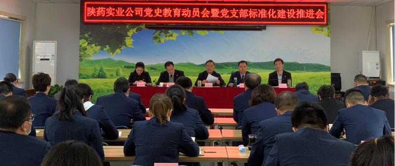 陕药实业公司党委召开党史教育动员会暨党支部标准化建设推进会